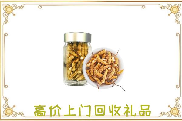 眉山周边回收虫草